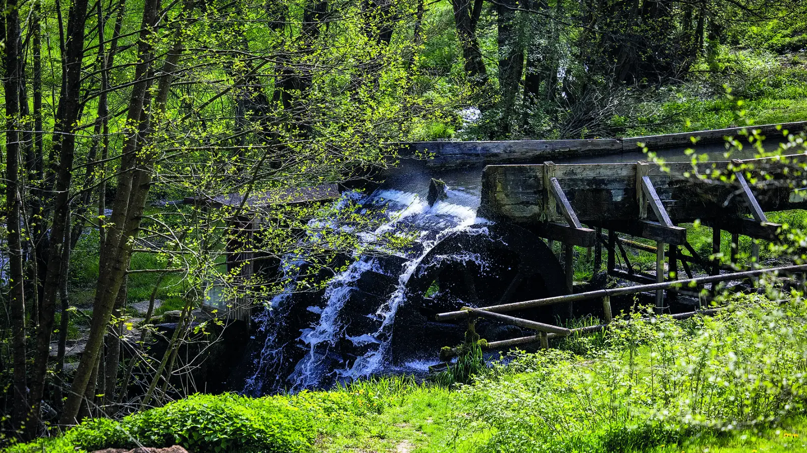 Idyll in der Fränkischen Schweiz: Hier wird die lebendige Verbindung von Natur, Handwerk und regionaler Geschichte deutlich.					  (Foto: Toursimusverband Franken)