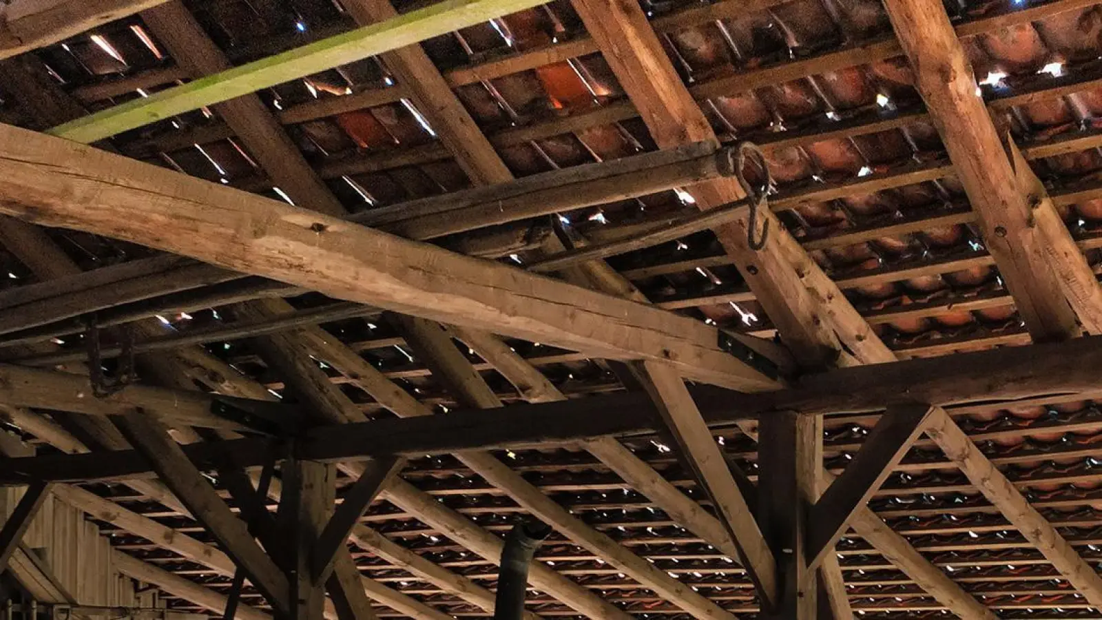 Im Nebengebäude von Schloss Thiergarten steigen die Kosten immens - unter anderem für Zimmererarbeiten. (Foto: pixabay/SofiLayla)