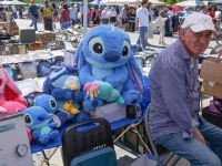 Am Wochenende wurde der Bayreuther Volksfestplatz wieder zum Paradies für Flohmarkt-Fans. (Foto: sd)