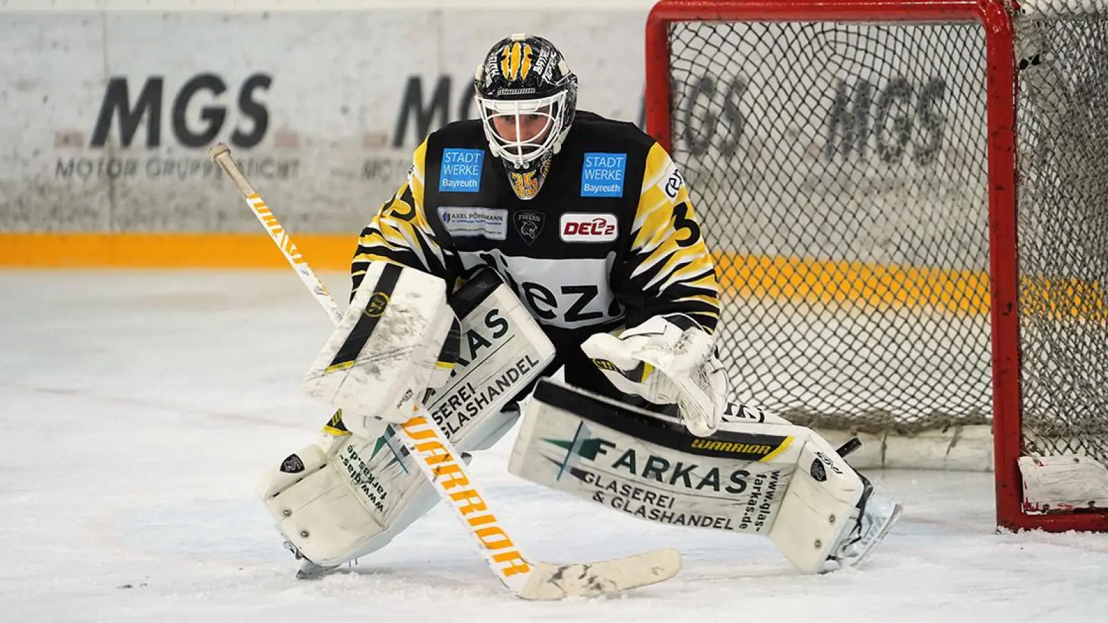 Bayreuth Tigers: Niederlage gegen Ravensburg Towerstars (Foto: Vögel)