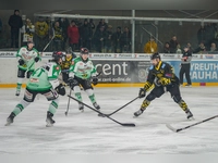 onesto Tigers - Höchstadt Alligators 02 (Foto: sd)