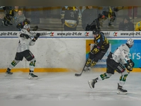 onesto Tigers Bayreuth - Bietigheim Steelers 03 (Foto: sd)