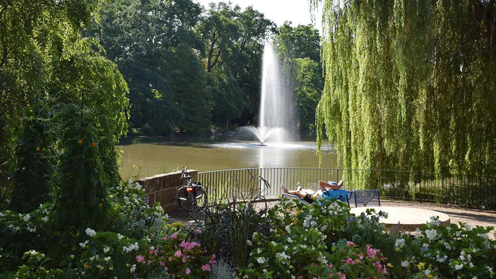 Der Röhrensee in Bayreuth: Die Bäume brauchen dringend Wasser. Die Fontäne führt den Fischen im See Sauerstoff zu. (Foto: Lenkeit)