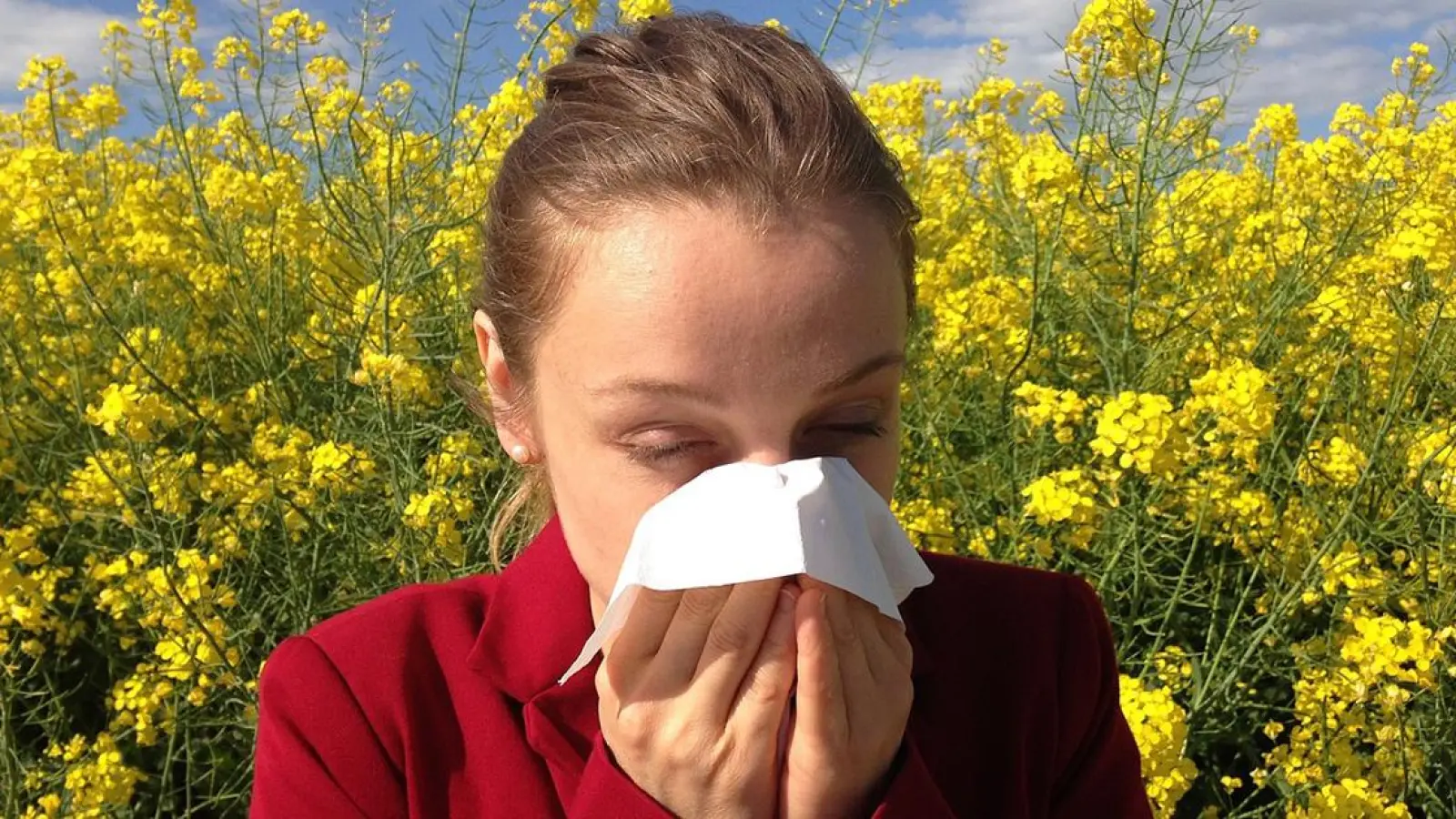 Pollenflug und Heuschnupfen: So wird die Autofahrt für Allergiker erträglich (Foto: Symbolbild: pixabay/cenczi)