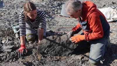 Ulrike Albert und Stefan Eggmaier vom Urwelt-Museum Oberfranken bei der Grabung in der Fossilfundstelle, Mistelgau. (Foto: Mathias Orgeldinger)