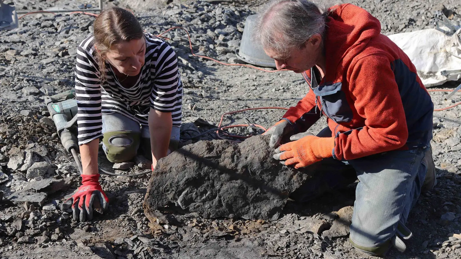 Ulrike Albert und Stefan Eggmaier vom Urwelt-Museum Oberfranken bei der Grabung in der Fossilfundstelle, Mistelgau. (Foto: Mathias Orgeldinger)